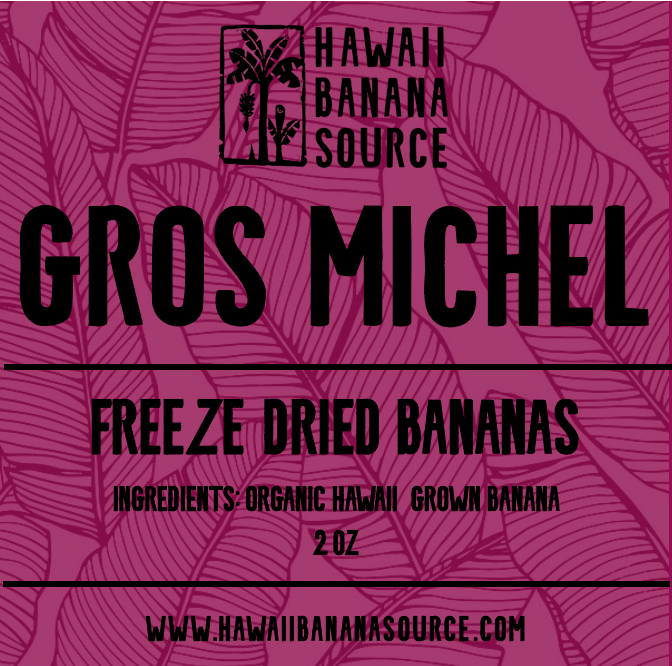 Freeze Dried Gros Michel Bananas