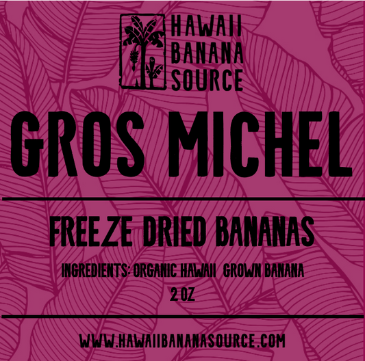 Freeze Dried Gros Michel Bananas